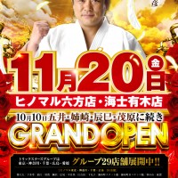 1120_grand-open_POS